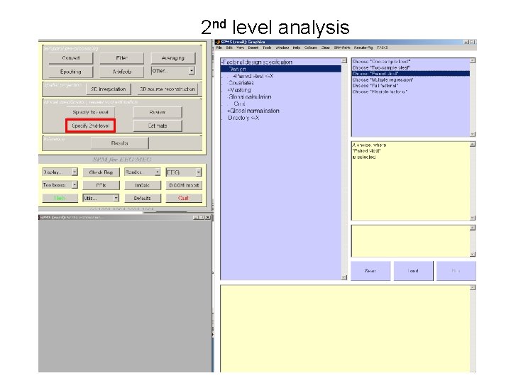 2 nd level analysis 