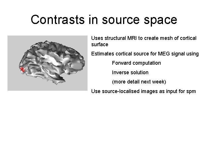 Contrasts in source space Uses structural MRI to create mesh of cortical surface Estimates