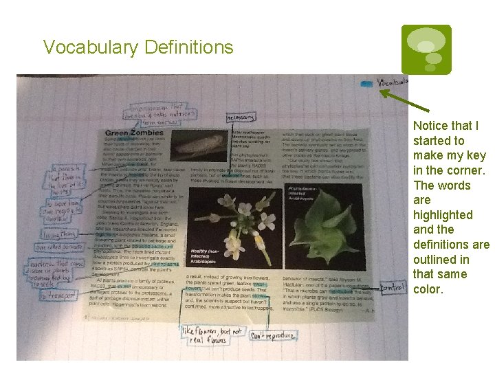 Vocabulary Definitions Notice that I started to make my key in the corner. The