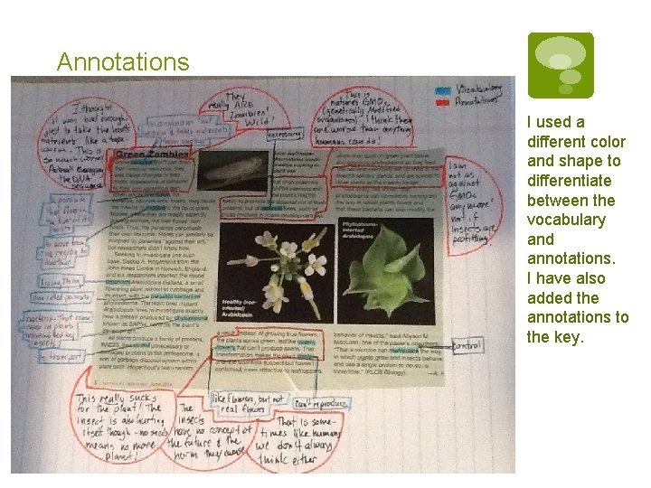 Annotations I used a different color and shape to differentiate between the vocabulary and