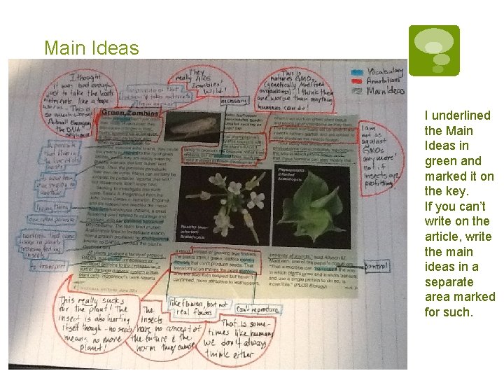 Main Ideas I underlined the Main Ideas in green and marked it on the