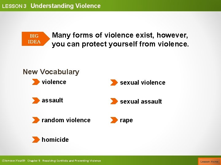 LESSON 3 Understanding Violence BIG IDEA Many forms of violence exist, however, you can