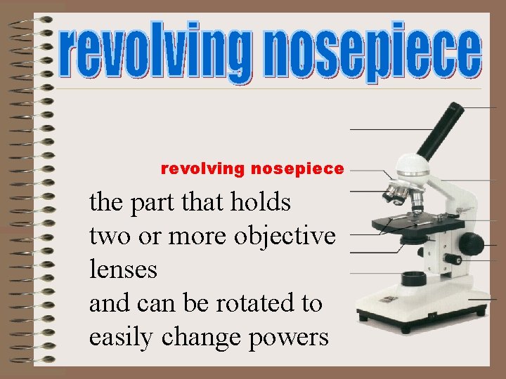 revolving nosepiece the part that holds two or more objective lenses and can be revolving nosepiece the part that holds two or more objective lenses and can be