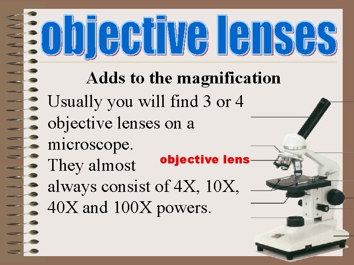 Adds to the magnification Usually you will find 3 or 4 objective lenses on Adds to the magnification Usually you will find 3 or 4 objective lenses on