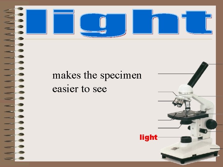 makes the specimen easier to see light makes the specimen easier to see light