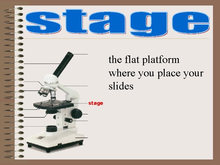 the flat platform where you place your slides stage the flat platform where you place your slides stage