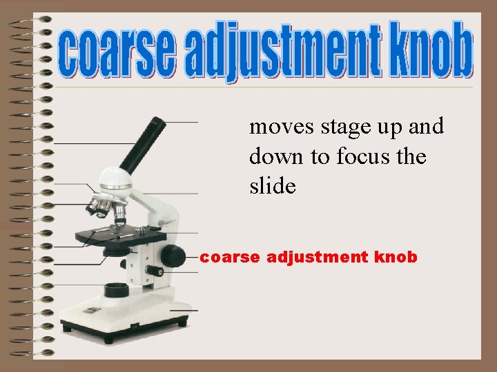 moves stage up and down to focus the slide coarse adjustment knob moves stage up and down to focus the slide coarse adjustment knob
