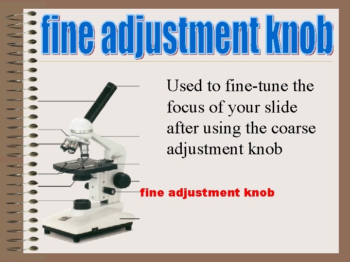 Used to fine-tune the focus of your slide after using the coarse adjustment knob Used to fine-tune the focus of your slide after using the coarse adjustment knob