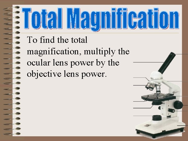 To find the total magnification, multiply the ocular lens power by the objective lens To find the total magnification, multiply the ocular lens power by the objective lens