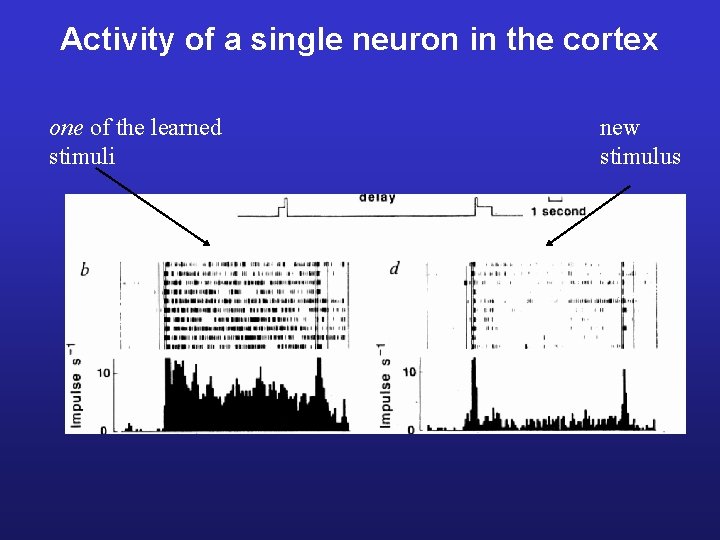 Activity of a single neuron in the cortex
