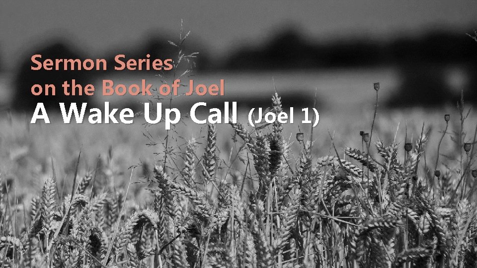 Sermon Series on the Book of Joel A Wake Up Call (Joel 1) 