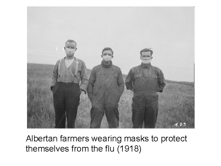 Albertan farmers wearing masks to protect themselves from the flu (1918) 