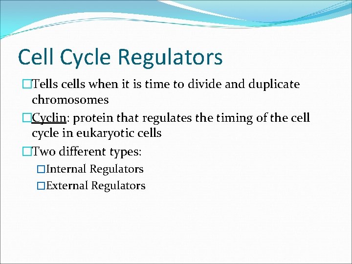 Cell Cycle Regulators �Tells cells when it is time to divide and duplicate chromosomes