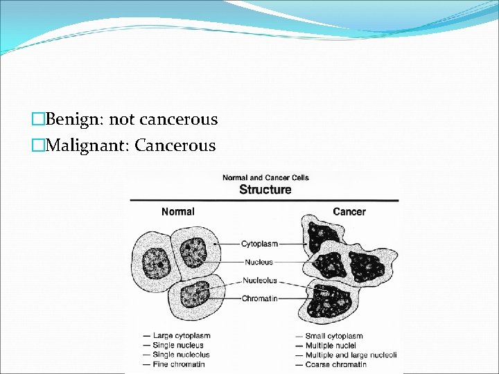 �Benign: not cancerous �Malignant: Cancerous 