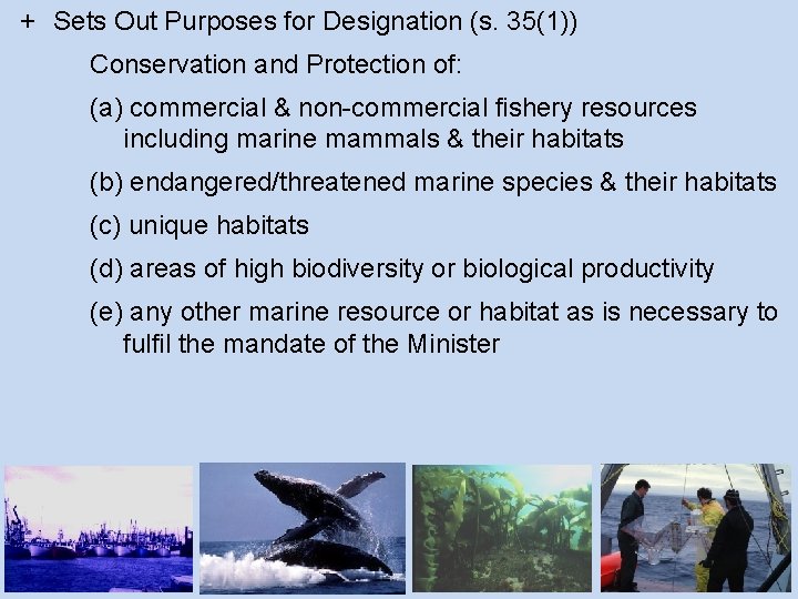 + Sets Out Purposes for Designation (s. 35(1)) Conservation and Protection of: (a) commercial