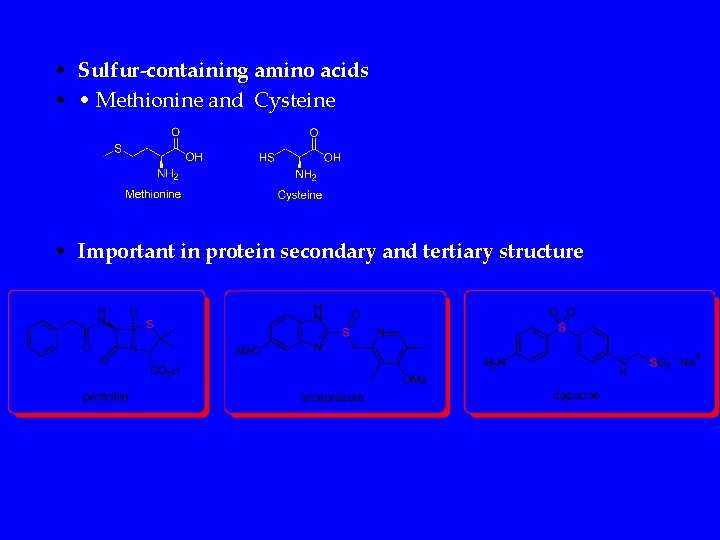  • Sulfur-containing amino acids • • Methionine and Cysteine • Important in protein