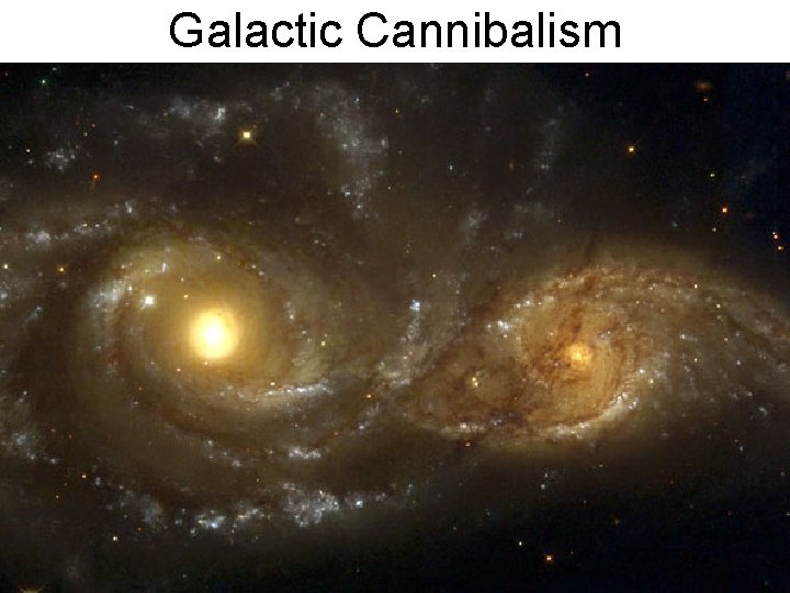 Galactic Cannibalism 