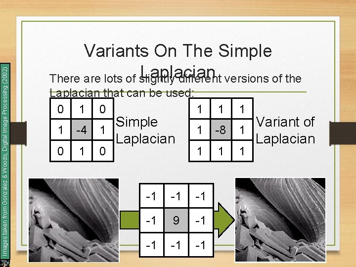 Images taken from Gonzalez & Woods, Digital Image Processing (2002) Variants On The Simple