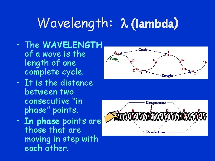 Wavelength: l (lambda) • The WAVELENGTH of a wave is the length of one