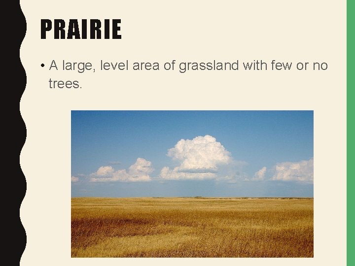 PRAIRIE • A large, level area of grassland with few or no trees. 