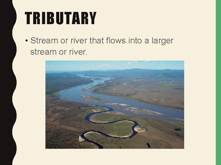 TRIBUTARY • Stream or river that flows into a larger stream or river. 