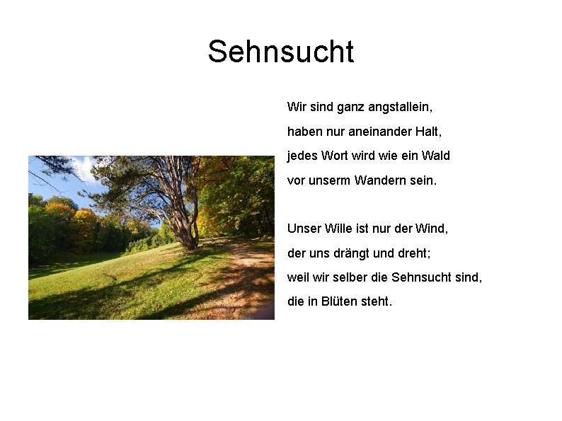 Sehnsucht Wir sind ganz angstallein, haben nur aneinander Halt, jedes Wort wird wie ein