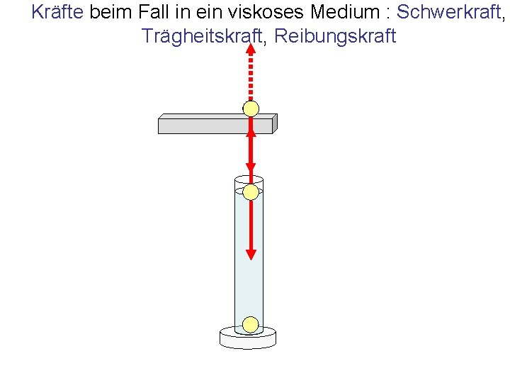 Kräfte beim Fall in ein viskoses Medium : Schwerkraft, Trägheitskraft, Reibungskraft 