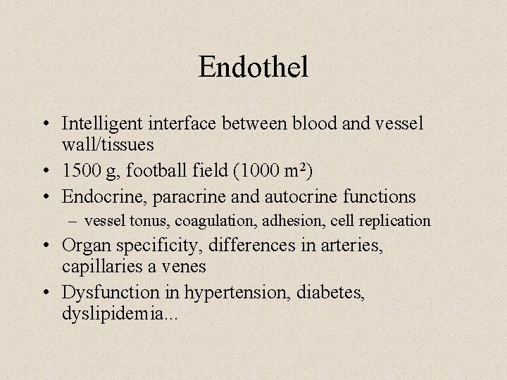 Endothel • Intelligent interface between blood and vessel wall/tissues • 1500 g, football field