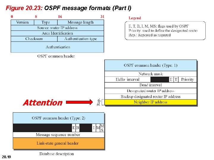 Figure 20. 23: OSPF message formats (Part I) Attention 20. 19 