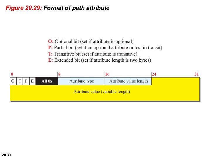 Figure 20. 29: Format of path attribute 20. 30 