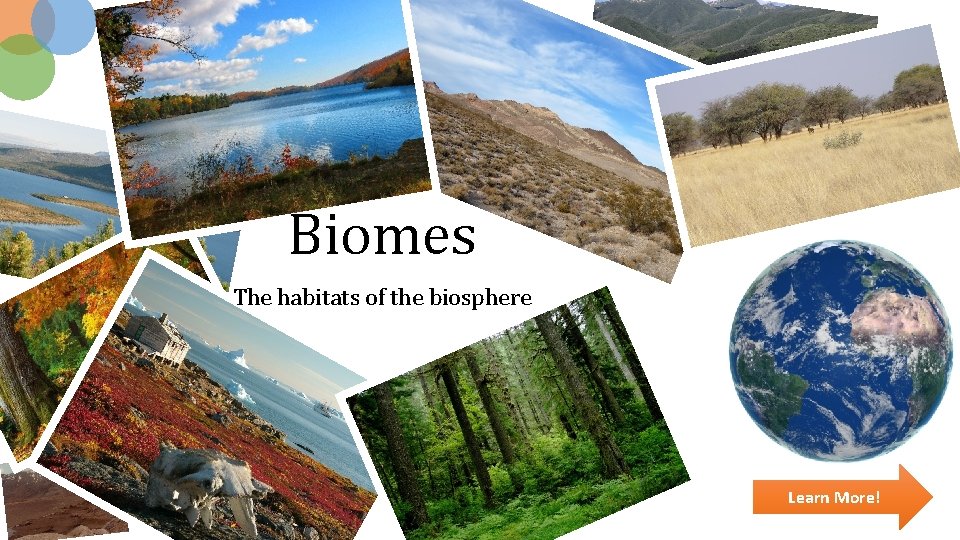 Biomes The habitats of the biosphere Learn More! 