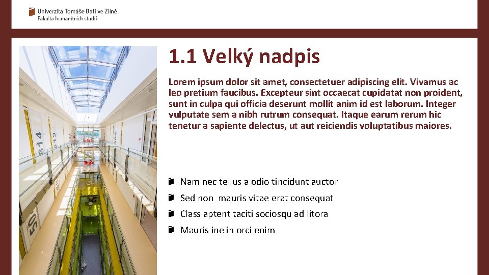 1. 1 Velký nadpis Lorem ipsum dolor sit amet, consectetuer adipiscing elit. Vivamus ac