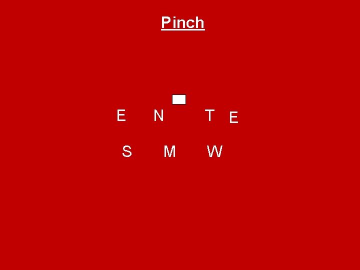 Pinch E S N M T E W 
