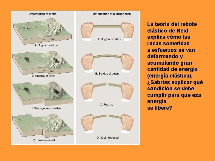La teoría del rebote elástico de Reid explica cómo las rocas sometidas a esfuerzos La teoría del rebote elástico de Reid explica cómo las rocas sometidas a esfuerzos