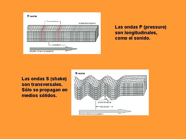 Las ondas P (pressure) son longitudinales, como el sonido. Las ondas S (shake) son Las ondas P (pressure) son longitudinales, como el sonido. Las ondas S (shake) son