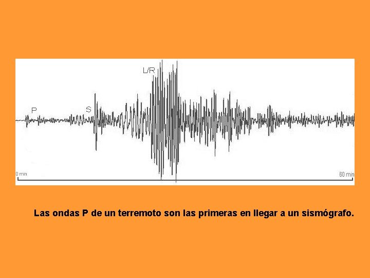 Las ondas P de un terremoto son las primeras en llegar a un sismógrafo. Las ondas P de un terremoto son las primeras en llegar a un sismógrafo.