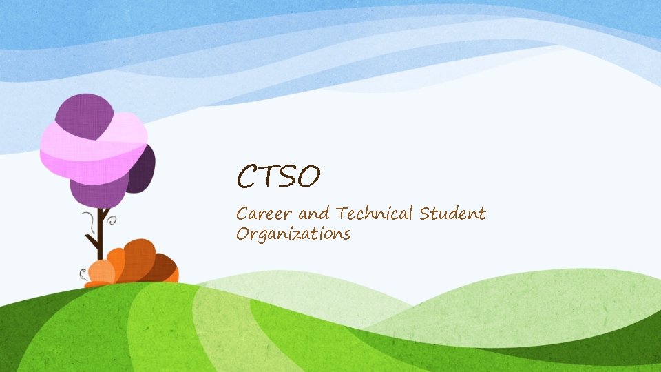 CTSO Career and Technical Student Organizations 