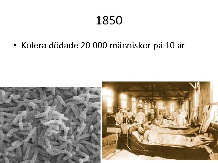 1850 • Kolera dödade 20 000 människor på 10 år 