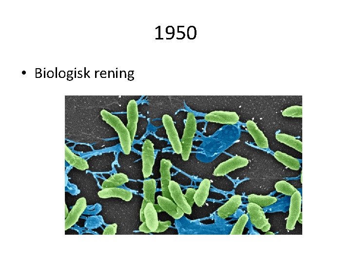 1950 • Biologisk rening 