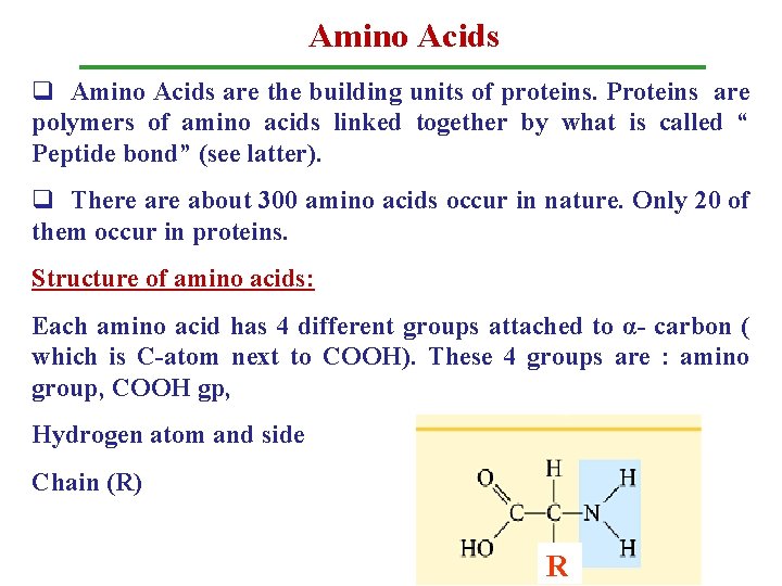 Amino Acids q Amino Acids are the building units of proteins. Proteins are polymers