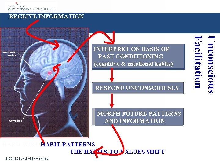 RECEIVE INFORMATION RESPOND UNCONSCIOUSLY MORPH FUTURE PATTERNS AND INFORMATION HARD-WIRE HABIT-PATTERNS THE HABITS-TO-VALUES SHIFT