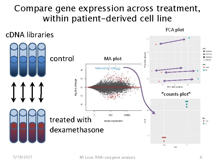Compare gene expression across treatment, within patient-derived cell line PCA plot c. DNA libraries