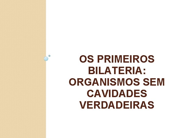 OS PRIMEIROS BILATERIA: ORGANISMOS SEM CAVIDADES VERDADEIRAS 