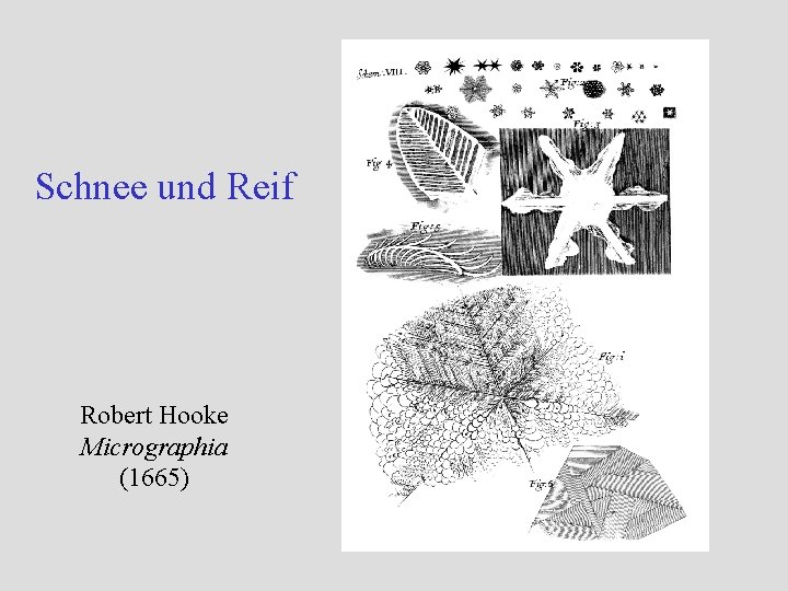 Schnee und Reif Robert Hooke Micrographia (1665) Schnee und Reif Robert Hooke Micrographia (1665)