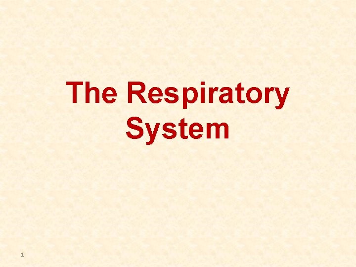 The Respiratory System 1 The Respiratory System 1