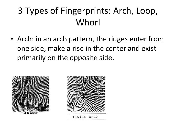 3 Types of Fingerprints: Arch, Loop, Whorl • Arch: in an arch pattern, the
