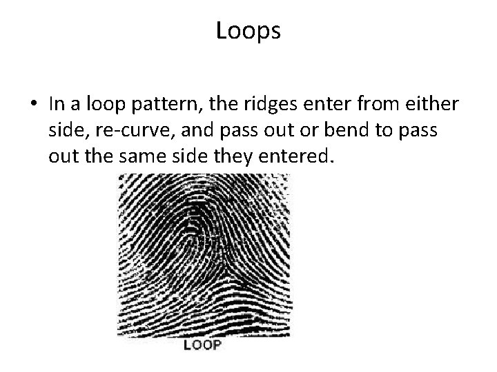 Loops • In a loop pattern, the ridges enter from either side, re-curve, and