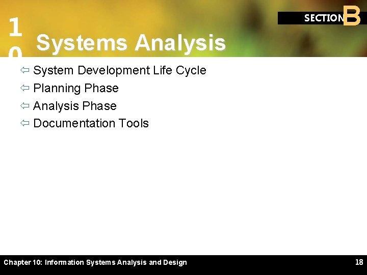 1 Systems Analysis 0ï System Development Life Cycle B SECTION ï Planning Phase ï