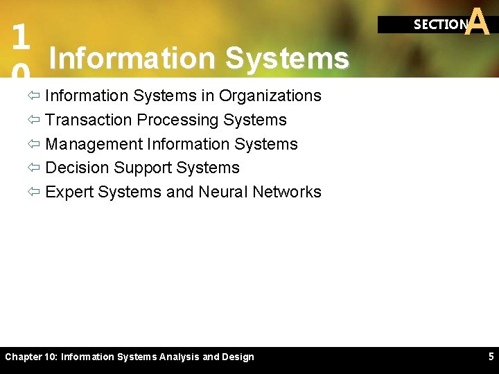 1 Information Systems 0ï Information Systems in Organizations A SECTION ï Transaction Processing Systems