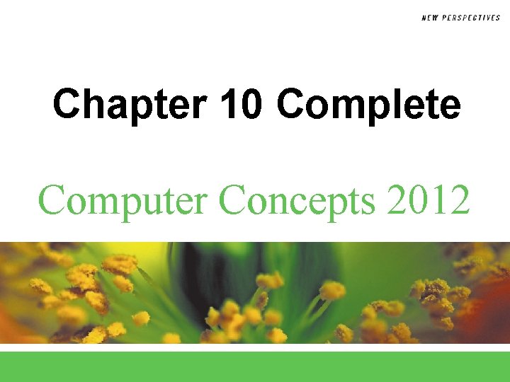 Chapter 10 Complete Computer Concepts 2012 